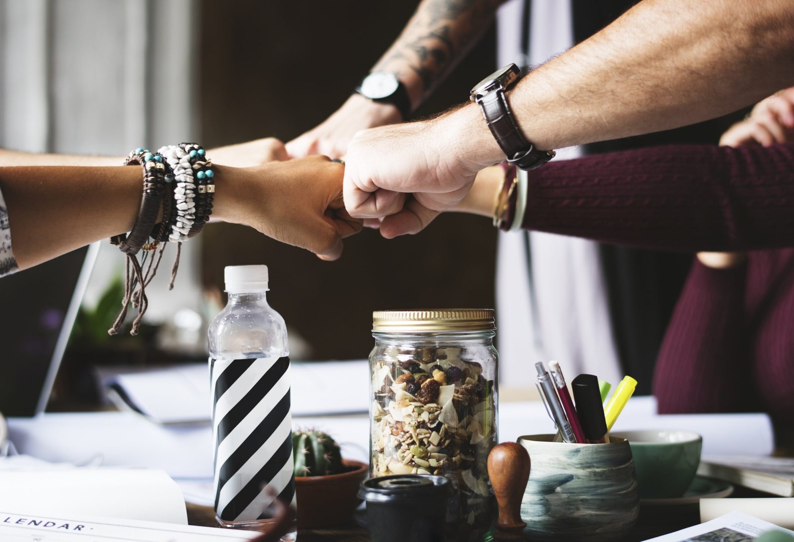 best seo software for small business