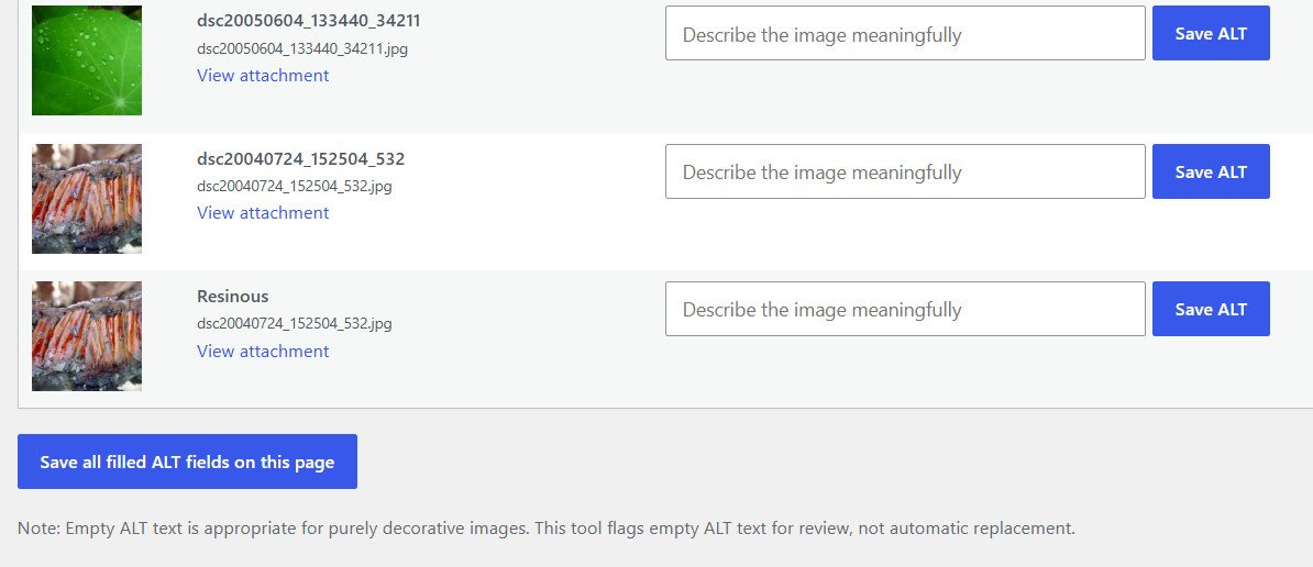 Media Library bulk ALT save interface